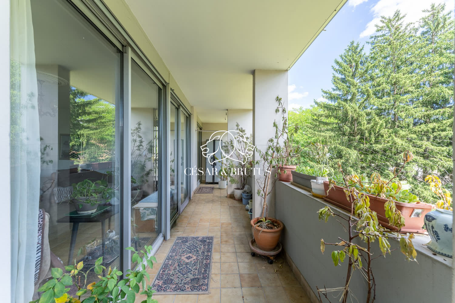 Exclusivité appartement familial