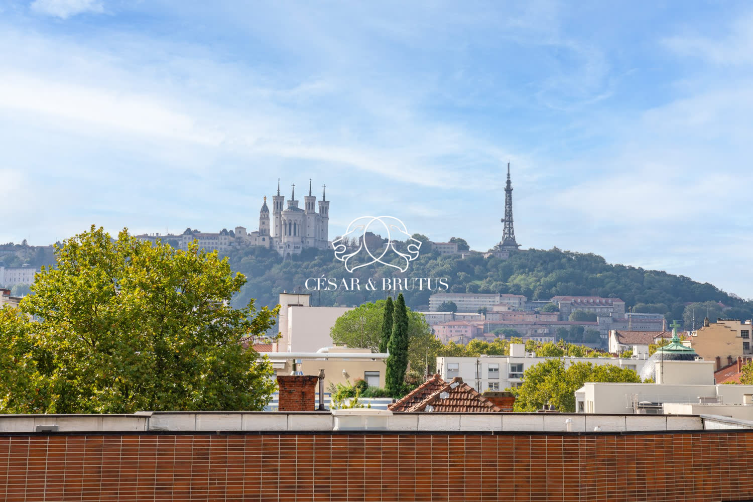 Appartement · 5 pièces · 105 m² · Etage élevé · Cave · Stationnement · Lyon 6e