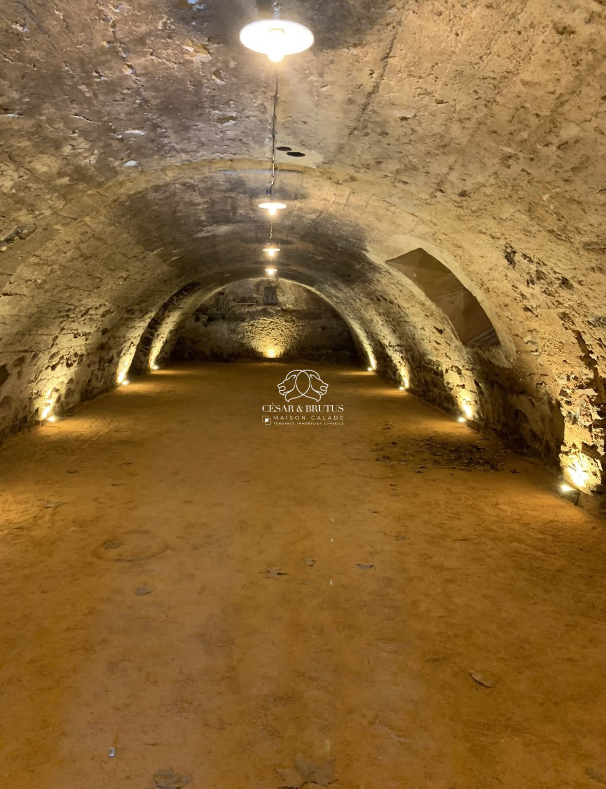 Cave voutee
