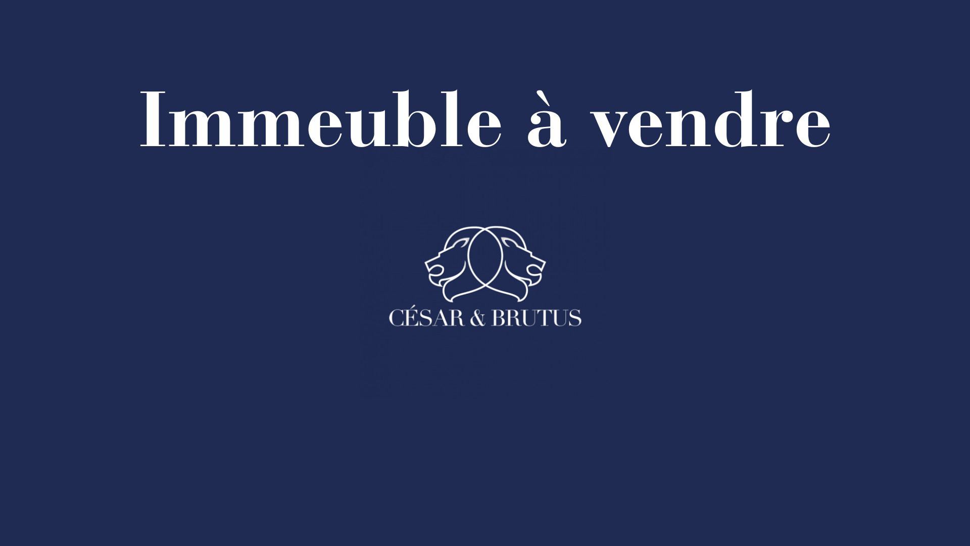 Immeuble 570 m² · Idéal investisseur