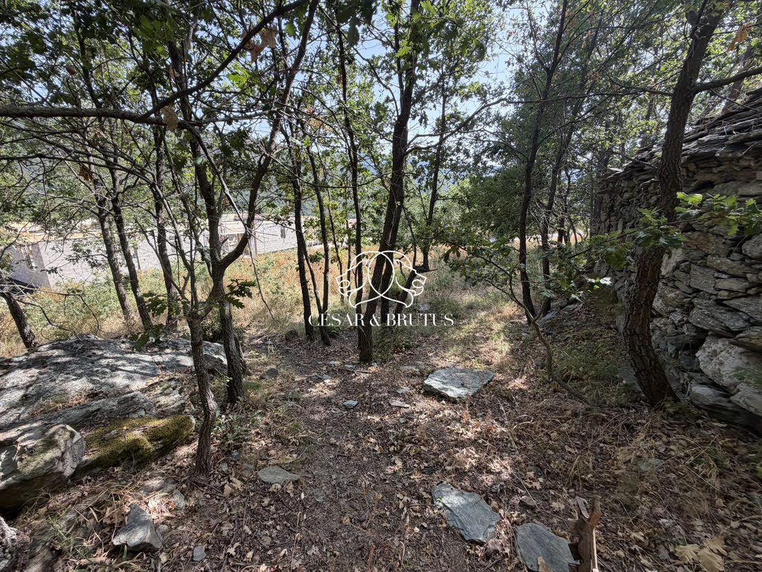Terrain constructible à murato