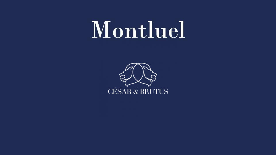 Terrain constructible · Montluel